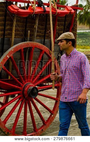 Almayate, Spain - April 21, 2018 Traditional Andalusian Contest Based On The Presentation Of The Abi