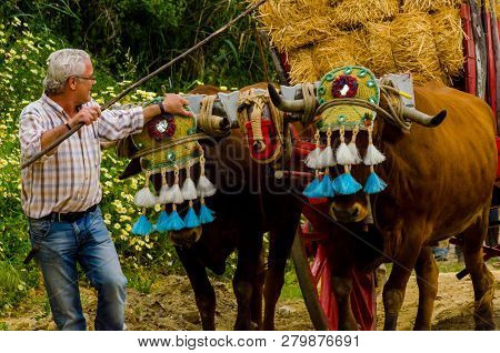 Almayate, Spain - April 21, 2018 Traditional Andalusian Contest Based On The Presentation Of The Abi