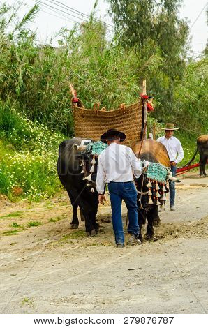 Almayate, Spain - April 21, 2018 Traditional Andalusian Contest Based On The Presentation Of The Abi