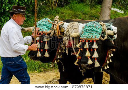 Almayate, Spain - April 21, 2018 Traditional Andalusian Contest Based On The Presentation Of The Abi
