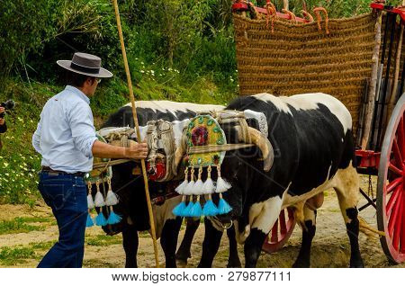 Almayate, Spain - April 21, 2018 Traditional Andalusian Contest Based On The Presentation Of The Abi