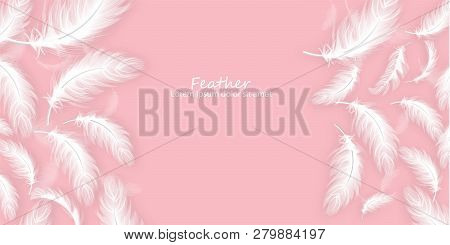 Feathers Background Vector Realistic. White Feathers On Pink Card Templates
