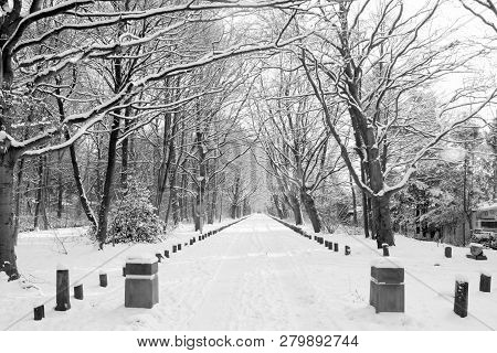 Snow In The City Park Og Groningen. The Netherlands