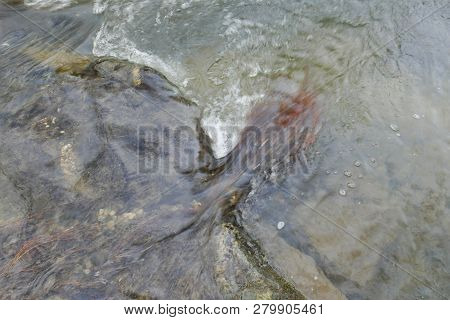 Abstract Detail Of The Winter Creek In Januar