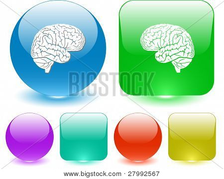 Cerebro. Elemento de la interfaz del vector.