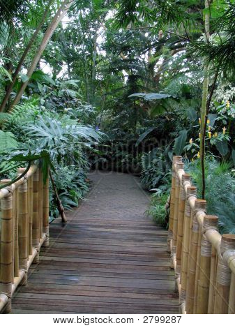 Park Path