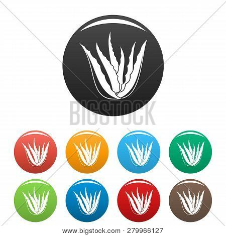 Aloe Vera Plant Icons Set 9 Color Isolated On White For Any Design