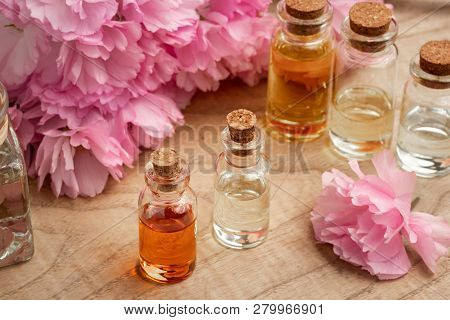 Bottles Of Essential Oil With Pink Japanese Kwanzan Cherry Blossoms