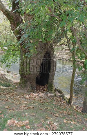 Agios Nikolaos Park Near Naousa Greece Europe