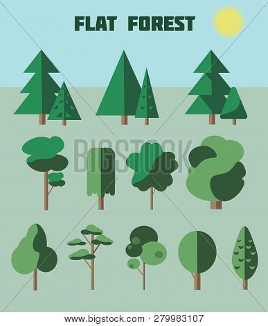 Spruce Forest Trees Flat Icon Set Natural
