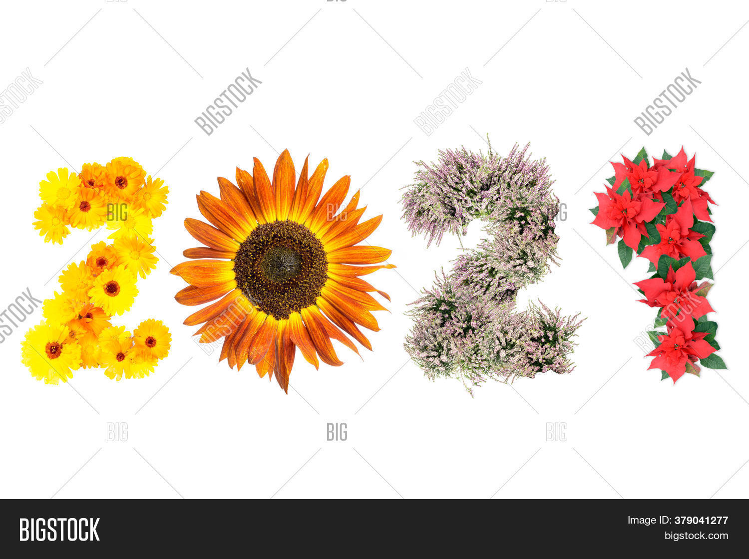New Year 2021 Date Image & Photo (Free Trial) Bigstock