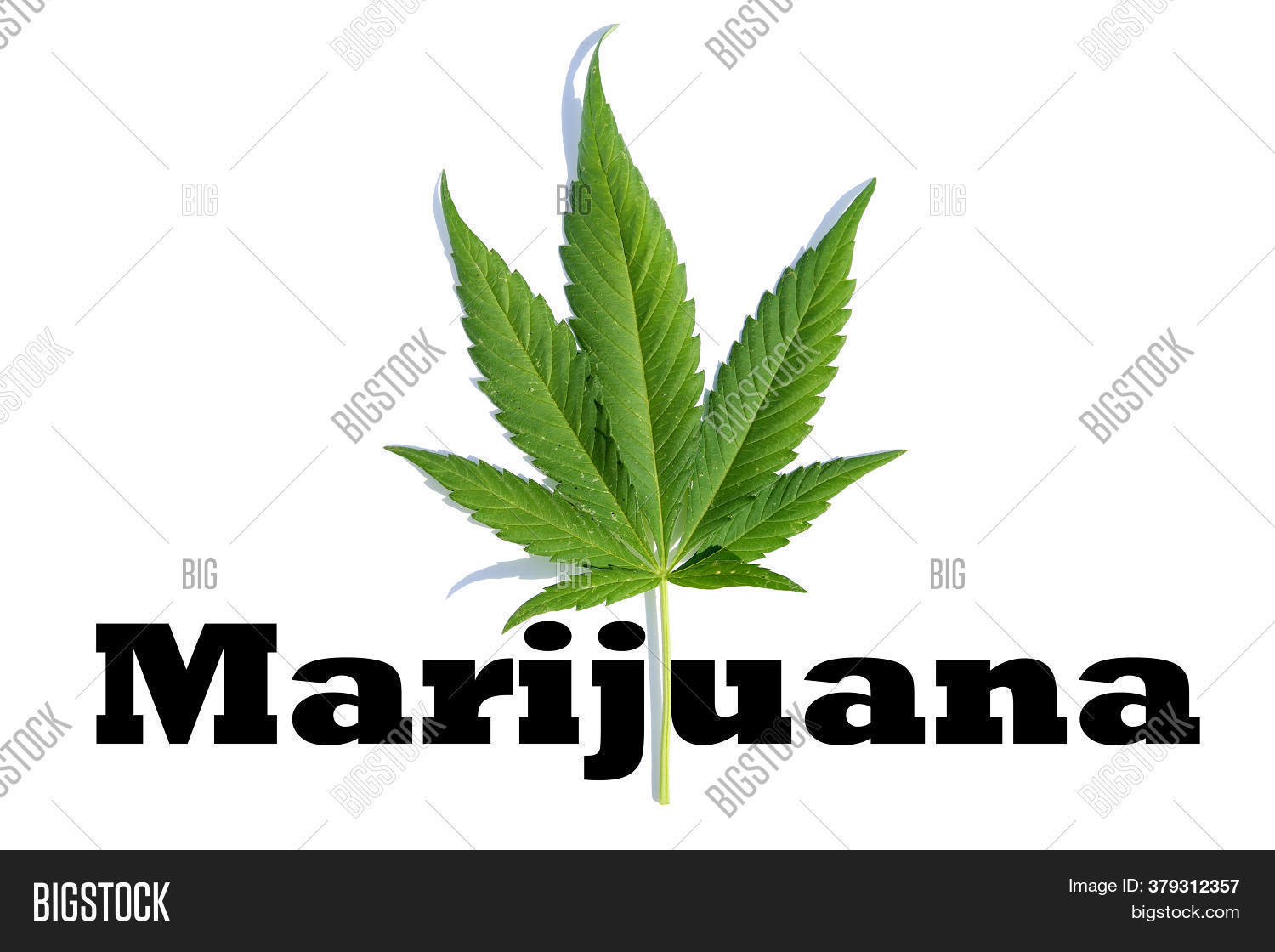 Marijuana. Cannabis Image & Photo (Free Trial) Bigstock