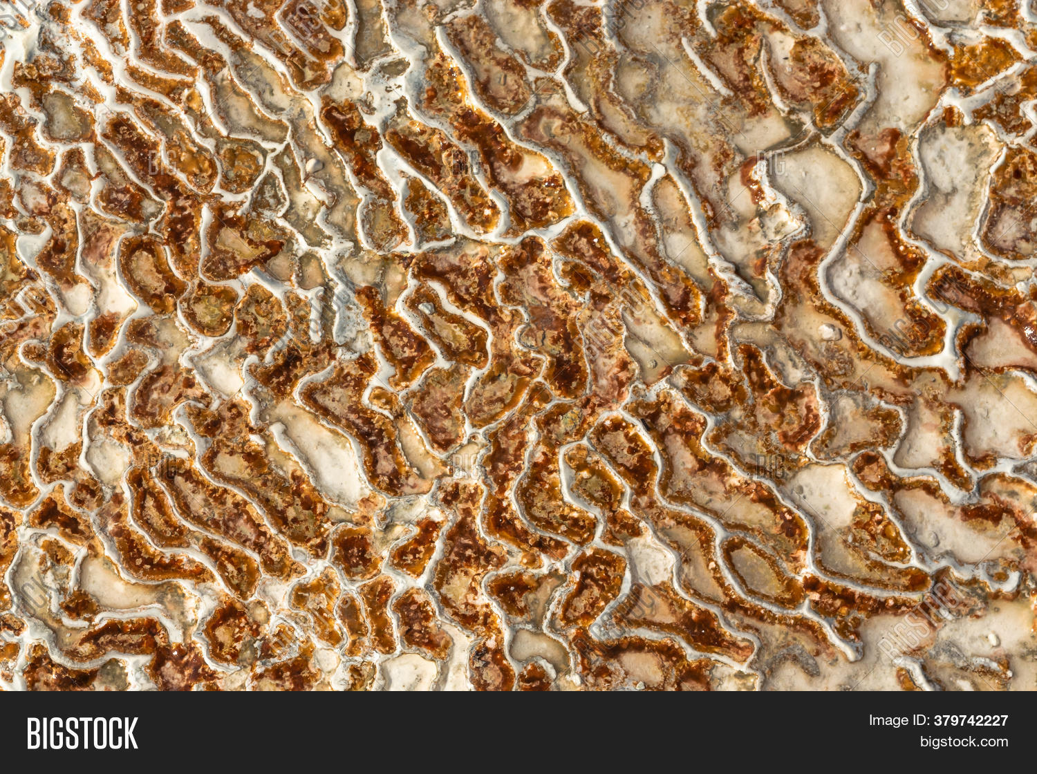 Surface Limestone Form Image & Photo (Free Trial) Bigstock