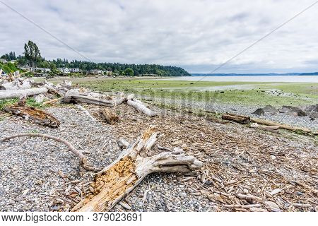The Tide Is Out At Normany Park In Wasington State.