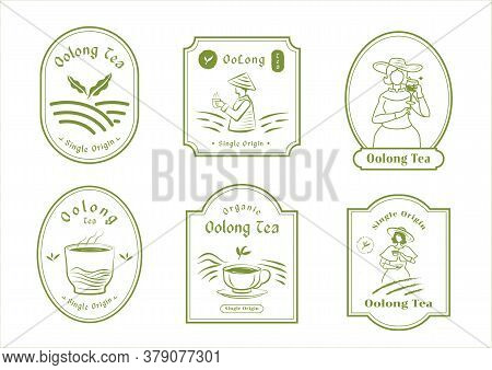 Single Origin Tea Badge Logo Design Set With English Woman Farmer Harvest,mountain,organic Tea,hot T