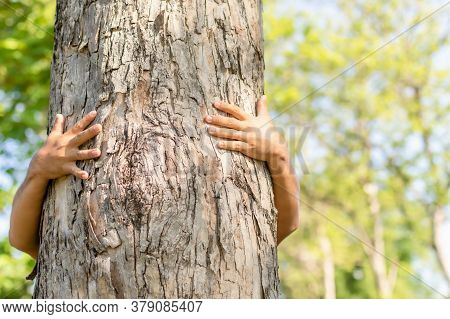 Asian Man Giving A Hug On Big Teak Tree Hug. Love Tree And Nature Or Environment Concept