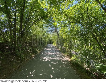 Recreational Trails Along The Glatt River And Past Small Lakes Or Ponds - Zürich (zuerich Or Zurich)