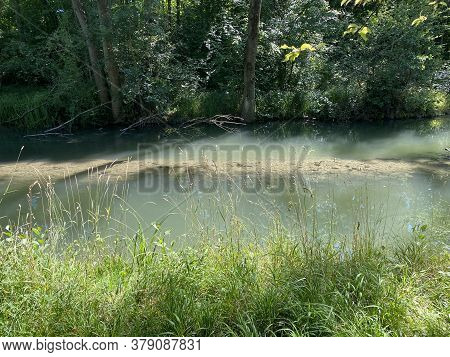 A Summer Landscape With Trees Along Small Lakes Or Ponds Along The Glatt River - Zürich (zuerich Or 