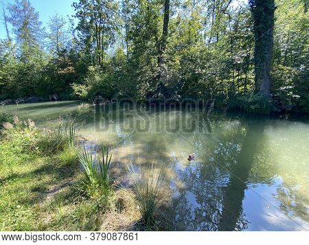 A Summer Landscape With Trees Along Small Lakes Or Ponds Along The Glatt River - Zürich (zuerich Or 