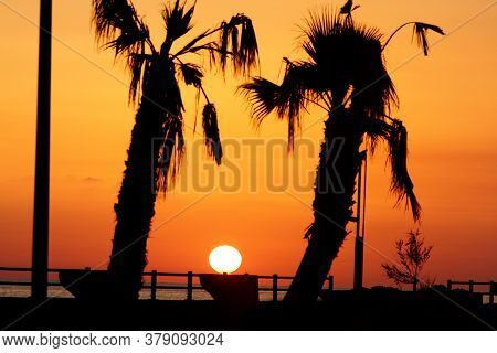 Cetraro, Italy - July 9, 2017: The Sun Sets Over The Sea With The Silhouette Of Palm Trees On The Wa