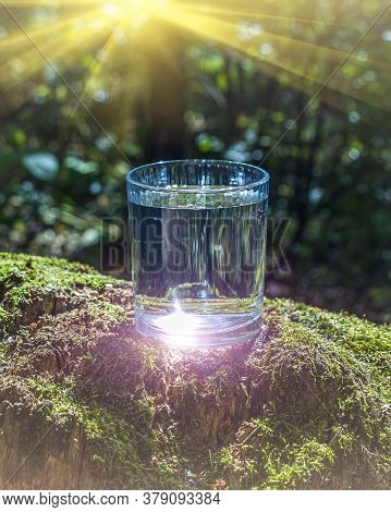Glass Of Clean Fresh Water On Tree Stump With Moss Against Green Natural Background. Spring Ecologic