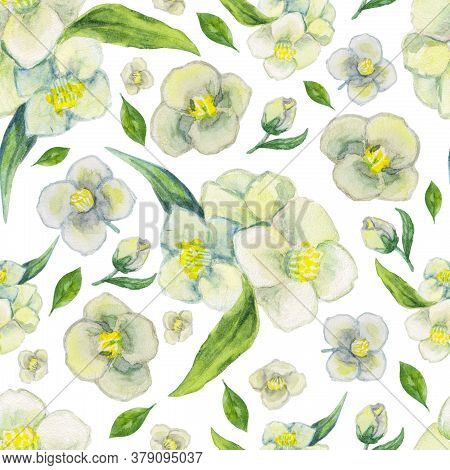 White Jasmine Flowers. Seamless Watercolor Floral Pattern On A White Background. Can Be Used For Pri
