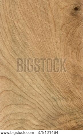 Juniper Wood Tree Pattern Samples Natural Rural Timber