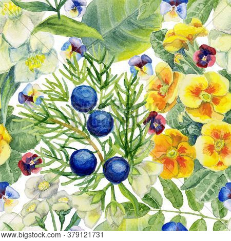 Watercolor Flowers, Berries And Leaves Seamless Pattern. Hand Painted Botanical Background With Jasm