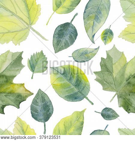 Seamless Pattern Foliage Natural Branches, Green Leaves. Seamless Pattern With Green Leaves. Hand Dr