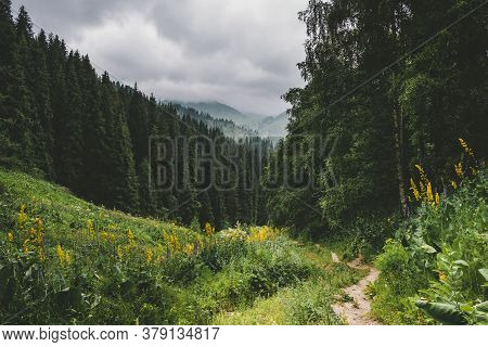 Narrow Path In The Mountains Among The Forest, On A Gloomy And Cloudy Day With A Mystical Atmosphere