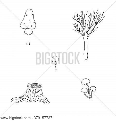 Seasonal Halloween Vector Illustration Of Trees, Witch Mushrooms Autumn Holidays Simple Minimalist H