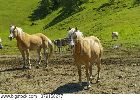 Mountain Landscape Along The Road To Crocedomini Pass, In The Brescia Province, Lombardy, Italy, At 