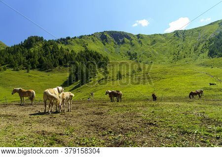 Mountain Landscape Along The Road To Crocedomini Pass, In The Brescia Province, Lombardy, Italy, At 
