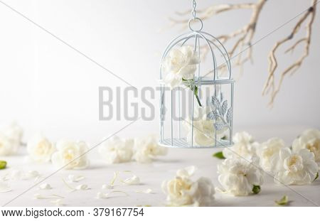 Still life with white flowers in bird cage on light backdrop. Creative concept for celebration of mother day, birthday, wedding or Valentines day