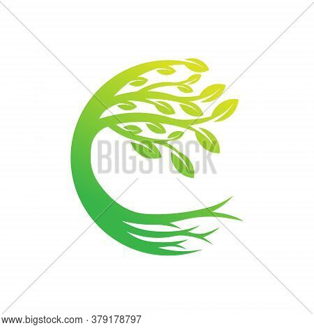 Tree. Tree Logo. Tree Logo vector. Tree icon vector. Tree icon. Tree Logo Vector. Decorative Tree Logo. Tree Logo design. Tree Logo vector. Tree Logo icon vector. Tree Sign. Tree Symbol. Abstract Tree logo vector design template illustration.