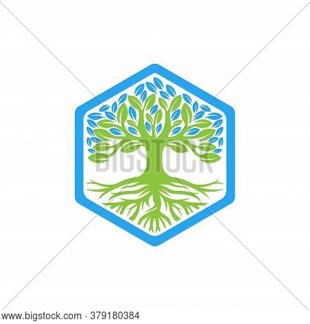 Tree. Tree Logo. Tree Logo vector. Tree icon vector. Tree icon. Tree Logo Vector. Decorative Tree Logo. Tree Logo design. Tree Logo vector. Tree Logo icon vector. Tree Sign. Tree Symbol. Abstract Tree logo vector design template illustration.