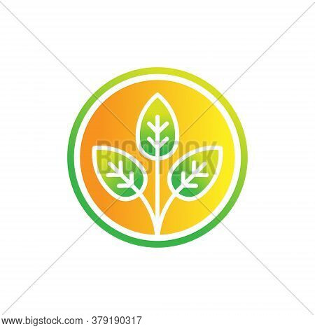 Leaf. Leaf icon. Leaf vector. Leaf icon vector. Leaves icon. Leaf vector icon. Leaf web icon. Leaf icons. Vector Leaf icon. Leaf icon design. Leaf Logo icon vector. Leaf Sign. Leaf Symbol. Trendy Leaf icon vector design template illustration.