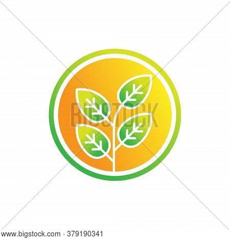 Leaf. Leaf icon. Leaf vector. Leaf icon vector. Leaves icon. Leaf vector icon. Leaf web icon. Leaf icons. Vector Leaf icon. Leaf icon design. Leaf Logo icon vector. Leaf Sign. Leaf Symbol. Trendy Leaf icon vector design template illustration.