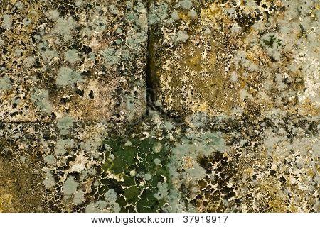 Stary mur.