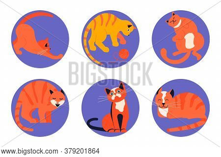 Set Of Social Media Story Highlight Icons For Cat Lovers. Cats Day, Pets In Different Poses Sitting,