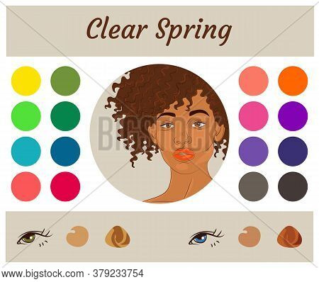 Stock Vector Seasonal Color Analysis Palette For Clear Spring. Best Colors For Clear Spring Type Of 