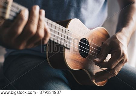 A Young Man Playing The Ukulele, Concept Music Player