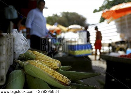 Salvador, Bahia / Brazil - August 6, 2014: Green Corn Is Seen For Sale At The Marcado Municipal De I