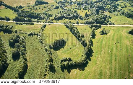 Y Letter Forest Shape