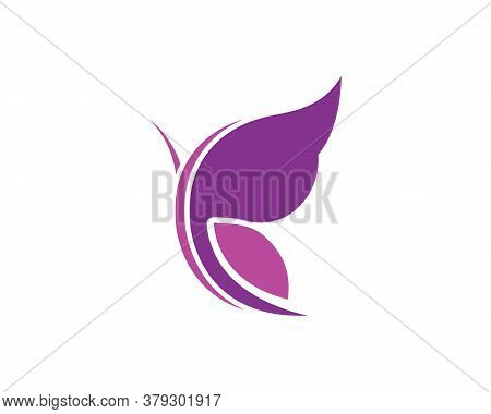 Butterfly Logo Vector Template Design
