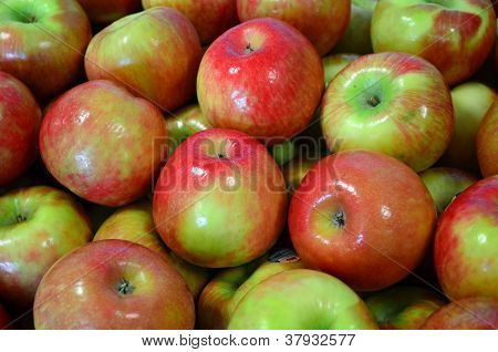 mele Macintosh