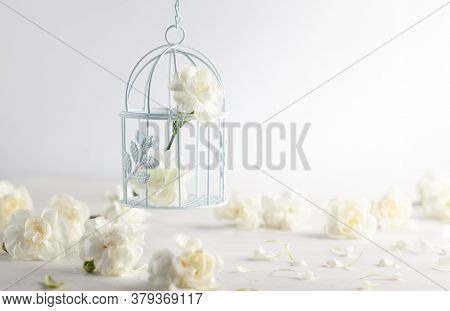 Still life with white flowers in bird cage on light backdrop. Creative concept for celebration of mother day, birthday, wedding or Valentines day