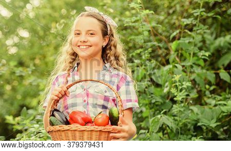 Some Food. Harvest Vitamin. Spring Market Garden. Healthy Food For Children. Happy Little Farmer. Au