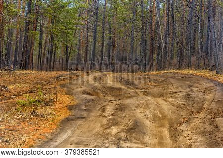 Broken Forest Road On Olkhon, Siberia, Spring Landscape