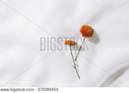 Top View Of Voile Fabric Background With Flowers In Two Corners With Space For Text
